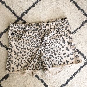 Kancan leopard print shorts